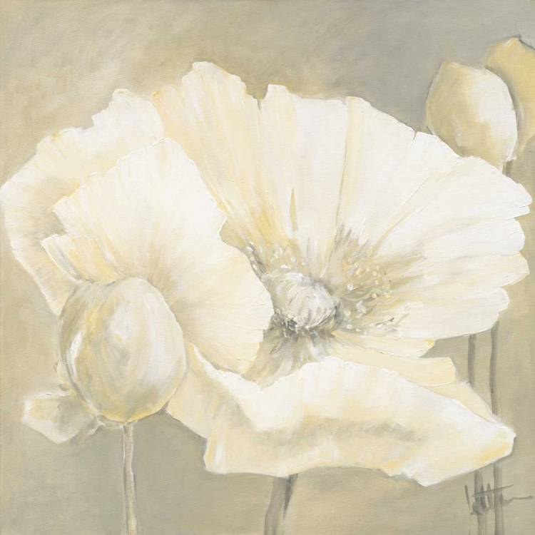 Picture of POPPY IN WHITE II