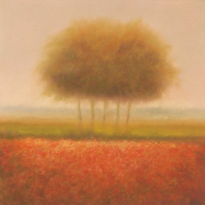 Picture of ORANGE GROUP OF TREES