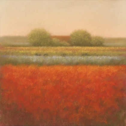 Picture of RED FIELD
