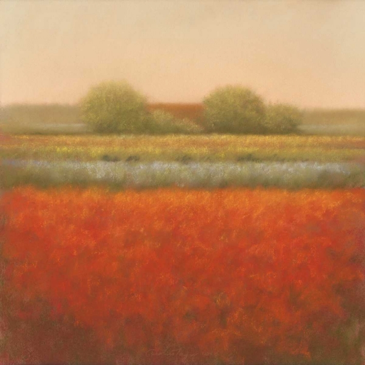 Picture of RED FIELD