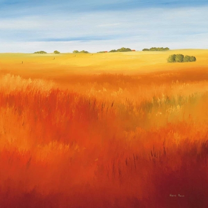 Picture of RED FIELD I