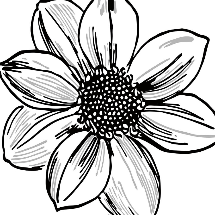 Picture of FLORAL OUTLINES I