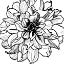 Picture of FLORAL OUTLINES III