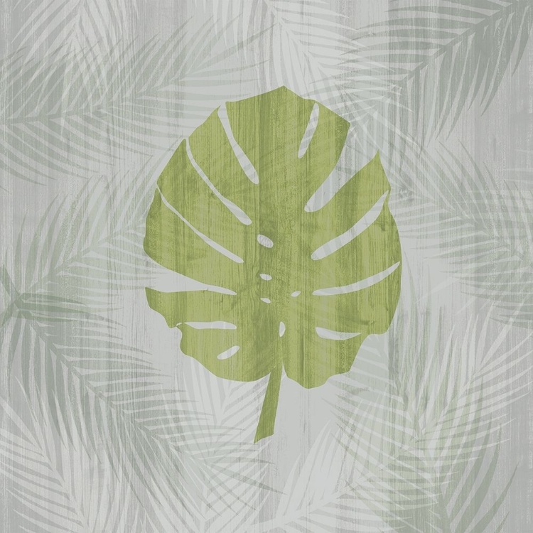 Picture of PALM LEAF