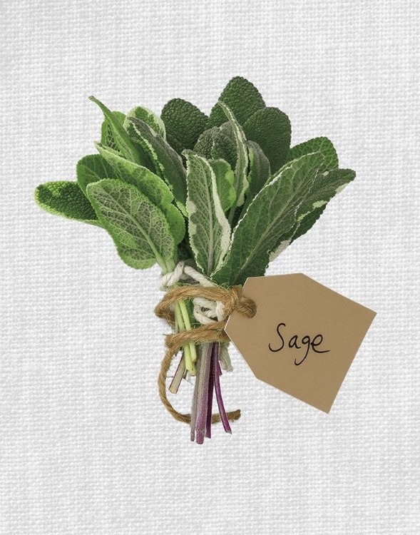 Picture of SAGE