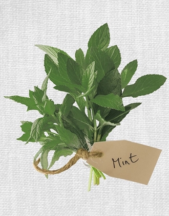 Picture of MINT