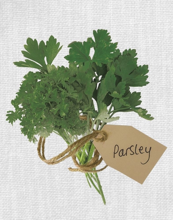 Picture of PARSLEY