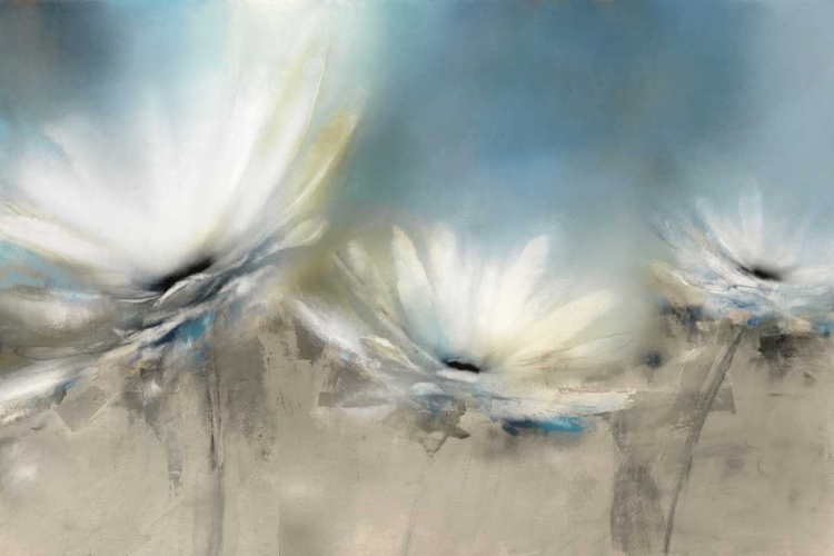 Picture of BEACHSIDE DAISIES