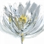 Picture of LE GRAND POSY