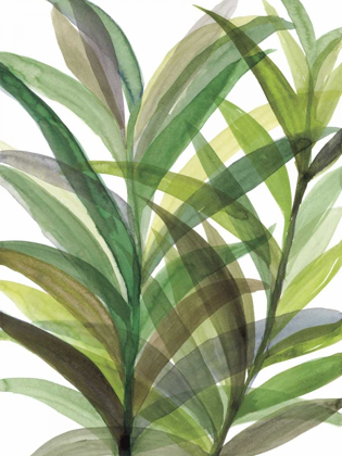 Picture of TROPICAL GREENS II
