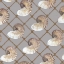 Picture of NAUTILUS NET