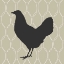 Picture of CLUCK - CLUCK