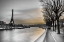 Picture of RIVER SEINE AND THE EIFFEL TOWER