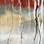 Picture of SILVER BIRCH I 