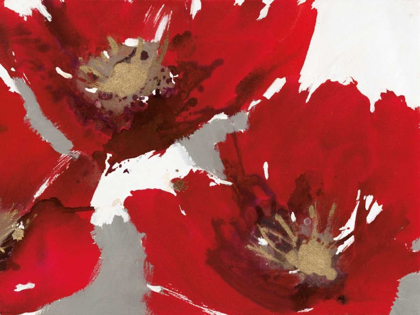 Picture of RED POPPY FORREST II 