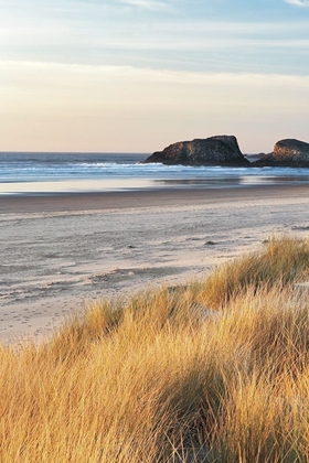 Picture of DUNE GRASS AND BEACH I