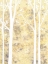 Picture of SIMPLE STATE II