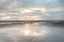 Picture of SILVER SANDS