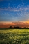 Picture of SHADOWS AT SUNSET I