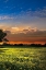 Picture of SHADOWS AT SUNSET III