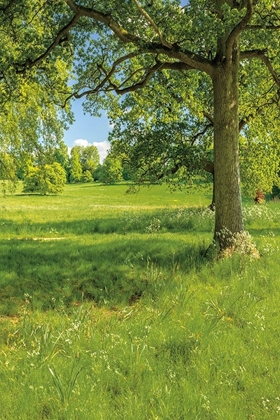 Picture of GREENEST PASTURES I