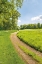 Picture of GREENEST PASTURES II
