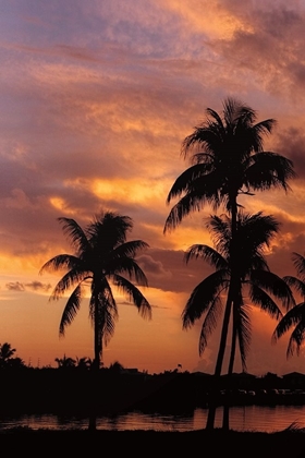 Picture of TROPICAL SUNSETS A