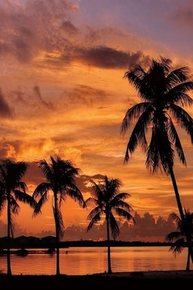 Picture of TROPICAL SUNSETS B