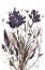 Picture of FLORAL MUSIC II