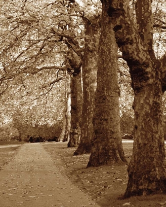 Picture of AUTUMN STROLL I