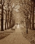 Picture of AUTUMN STROLL II