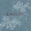 Picture of IMAGINE