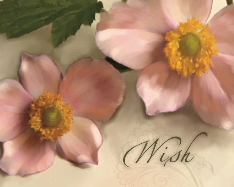 Picture of WISH
