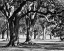 Picture of OAK GROVE II