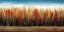 Picture of DEEP FOREST
