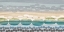 Picture of PEBBLE BEACH