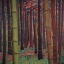 Picture of MAGICAL FOREST