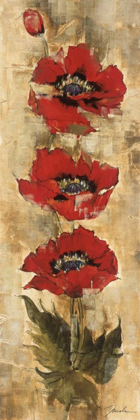 Picture of STRAND OF POPPIES I