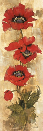 Picture of STRAND OF POPPIES II