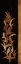 Picture of BLACK SHINWA I