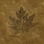 Picture of LEAVES OF SUMMER