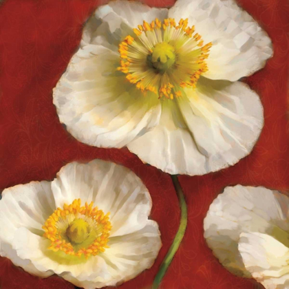 Picture of POPPY ELEGANCE II