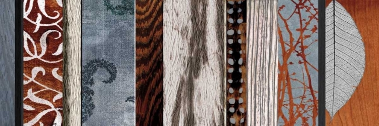 Picture of EVOLUTIONS II