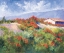 Picture of SPRING POPPIES