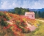 Picture of LATE SPRING POPPIES