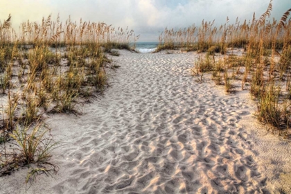 Picture of PATH TO THE BEACH