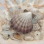 Picture of BEACH PRIZE II