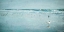 Picture of COASTAL BREEZE