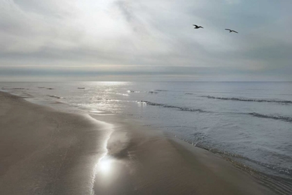 Picture of BEACH FLIGHT