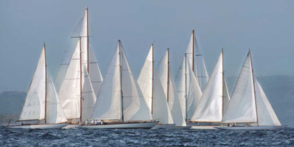 Picture of SAILING TEAM